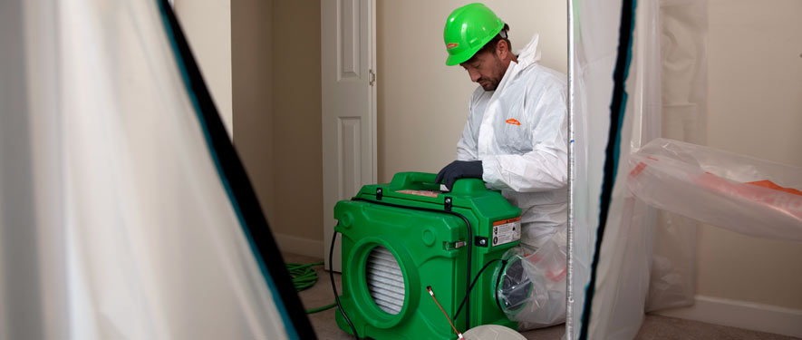 Alexandria, LA mold cleanup