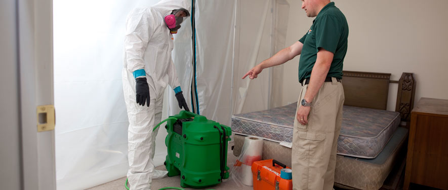 Alexandria, LA mold removal process